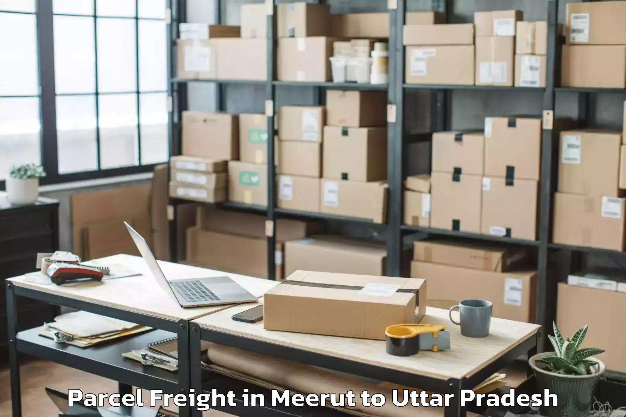 Meerut to Pilibhit Parcel Freight Booking